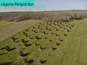 Terrain à CHAPDEUIL