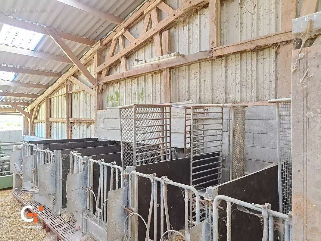 À VENDRE — Rare sur le marché : Corps de ferme  sur 3,75 hectares au cœur du Pays de Bray - photo 17