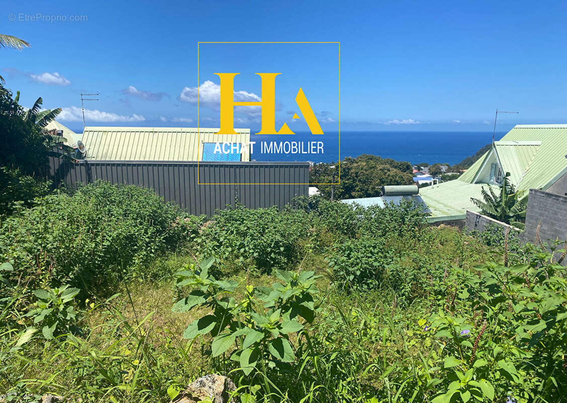 Terrain à SAINT-JOSEPH