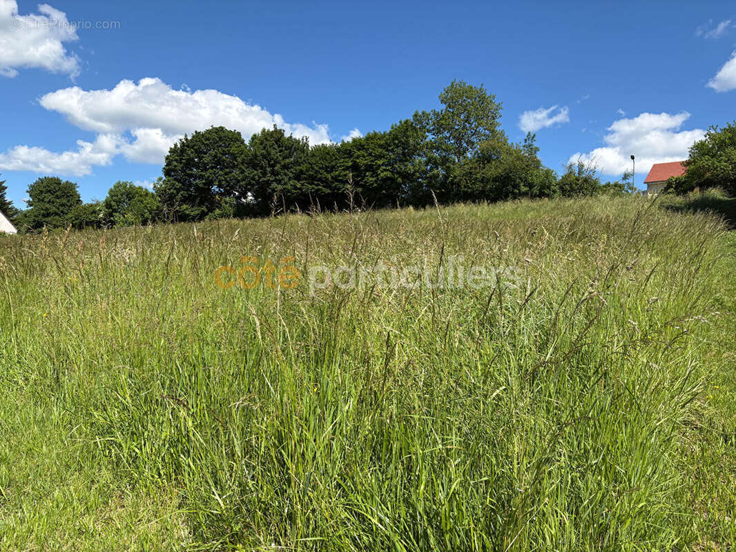 Terrain à ROCHEFORT-SUR-NENON