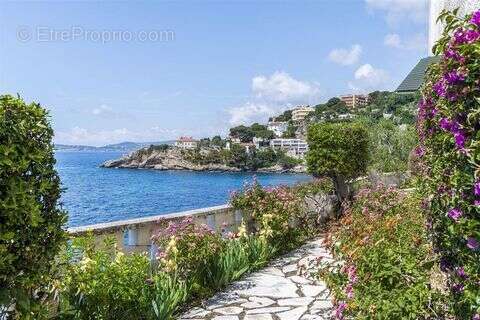 Maison 450 m² à Cap-D'ail  - photo 3