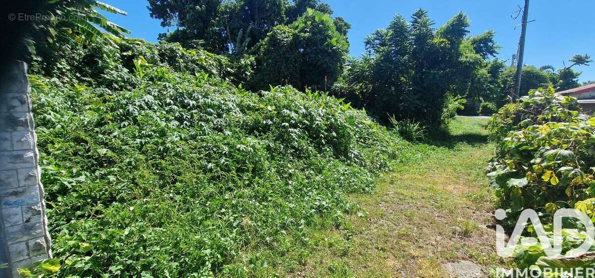 Photo 2 - Terrain à LE TAMPON