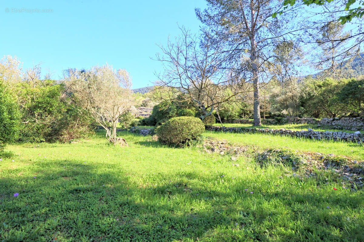 Terrain à SOLLIES-TOUCAS