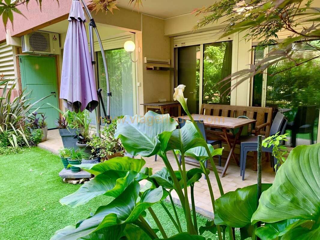 Réf. annonce : 10 086 - VIAGER OCCUPE - NICE (06) Fabron - photo 2