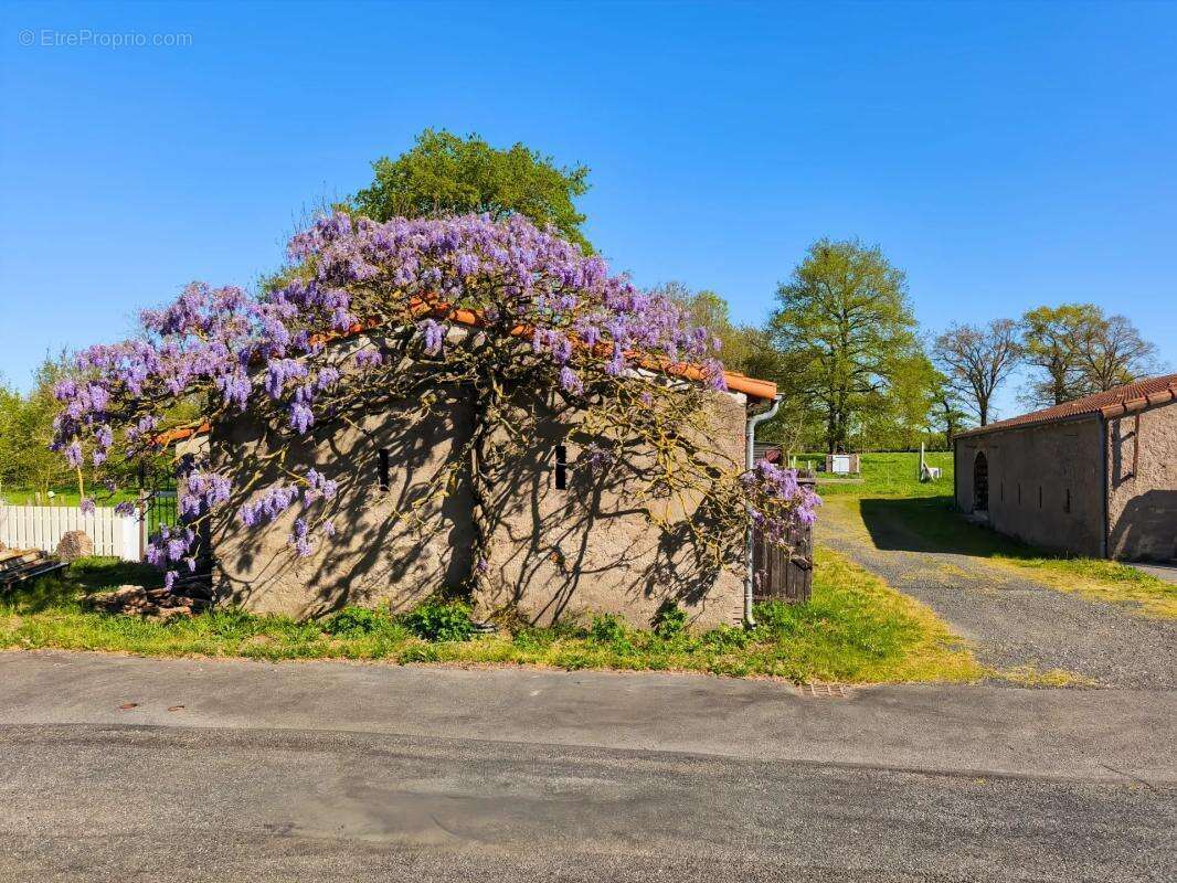 Maison à SAINT-MACAIRE-EN-MAUGES