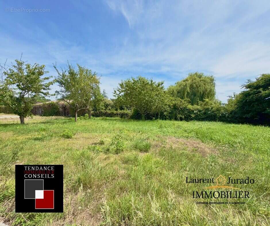 Terrain à MONTMERLE-SUR-SAONE