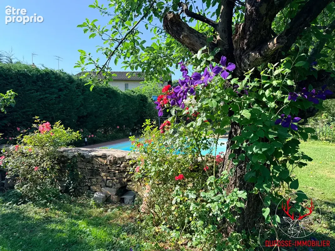 Maison de caractère XVIIIe - 258 m² - Piscine - photo 6