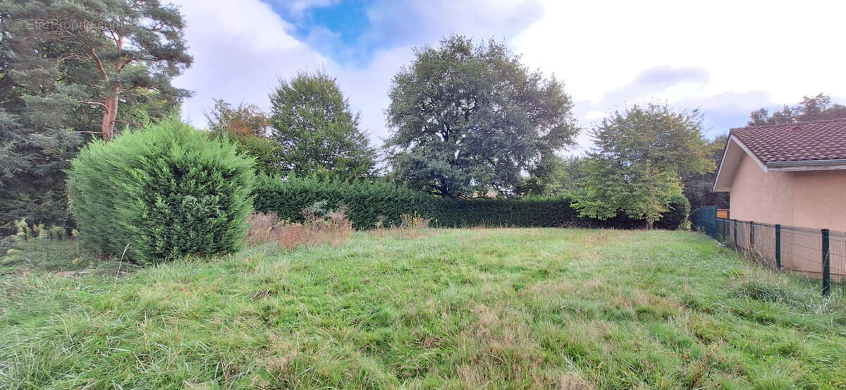 Terrain à POLLIAT