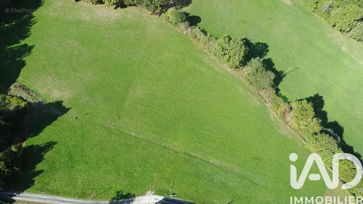 Photo 4 - Terrain à LASSEUBE