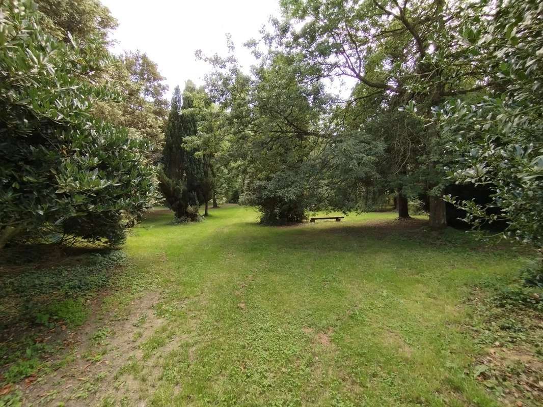 Maison à AVESNES-SUR-HELPE