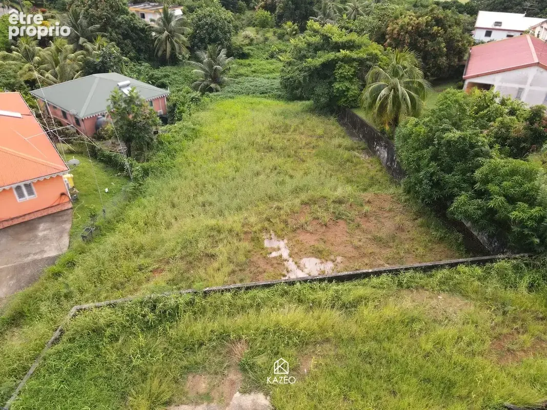 Terrain 1 400 m² à vendre à Ducos (97224) - photo 6