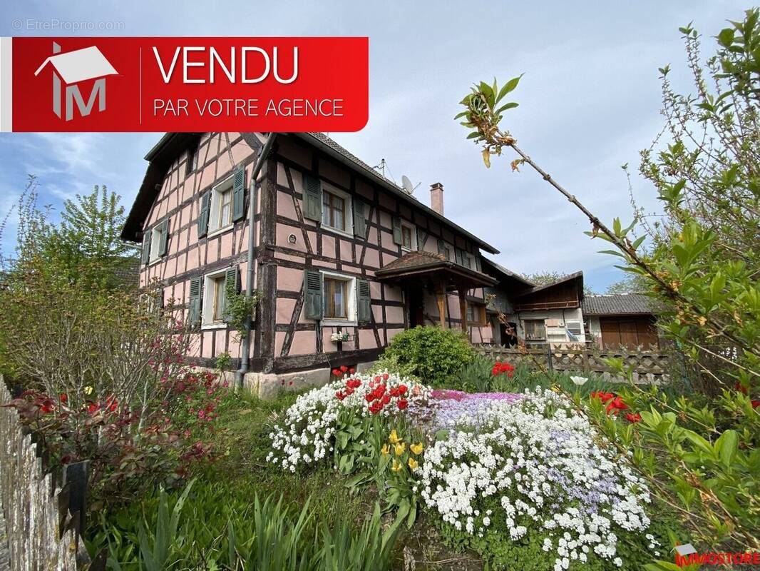 Maison à JETTINGEN