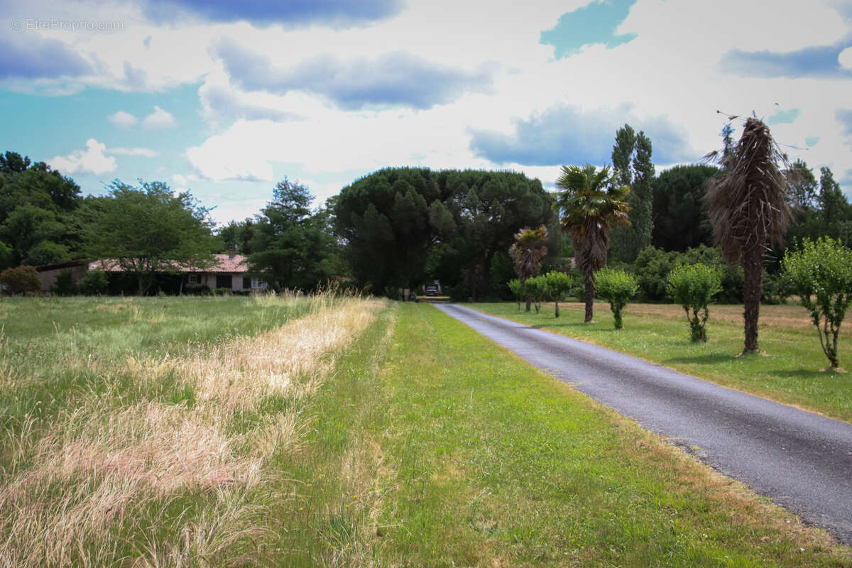 Propriété comprenant 2 habitations et terrain de plus 8 hectares - photo 9