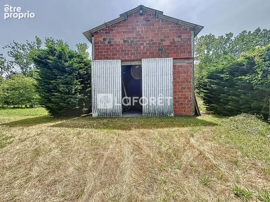 Idéal promoteur,10 minutes de Fronton, ferme avec piscine et dépendances !!!  4660 m² de terrain ! - photo 15