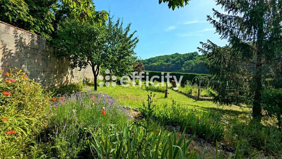 Maison 355 m² à Asnieres-Sur-Nouere  - photo 7