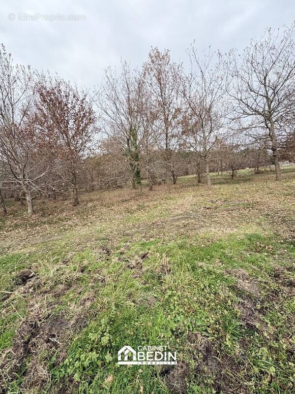 Terrain à AUREILHAN