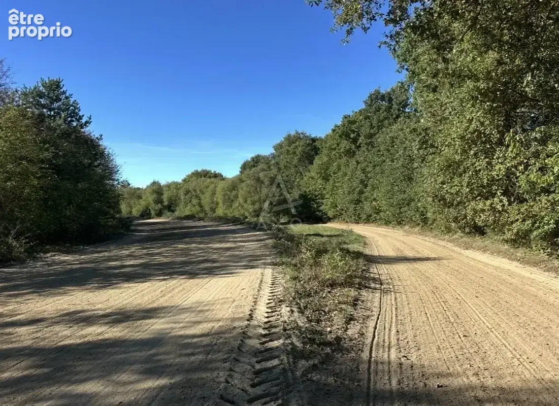 Haras de 32 hectares  3 pistes & Une ligne droite - 30 boxes - photo 11