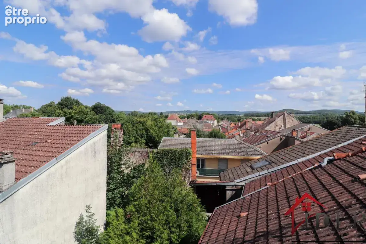 Demeure de caractère du XVIIIe siècle   Bourbonne-les-Bains - photo 13