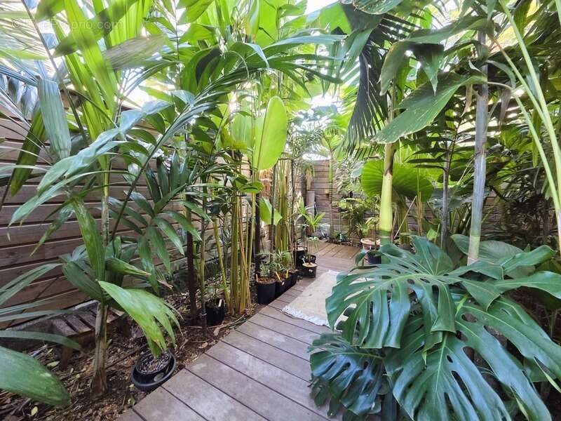 Superbe T3 en rez-de-jardin à L'Hermitage-les-Bains - photo 12