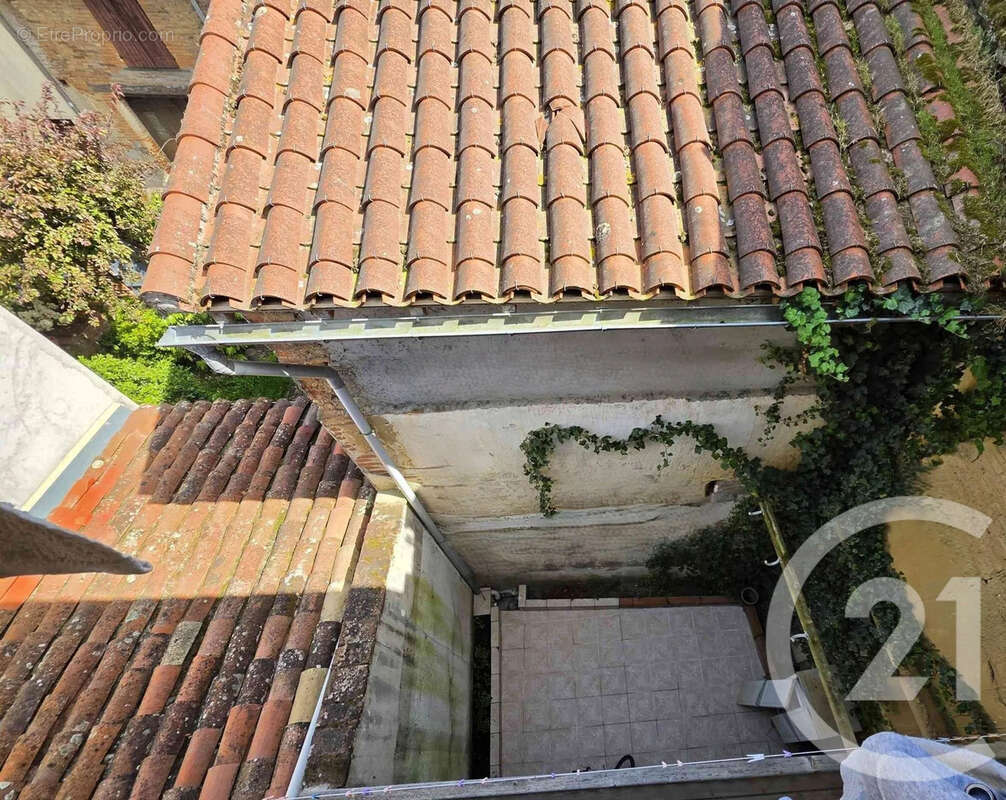 Maison à MONTESQUIEU-VOLVESTRE