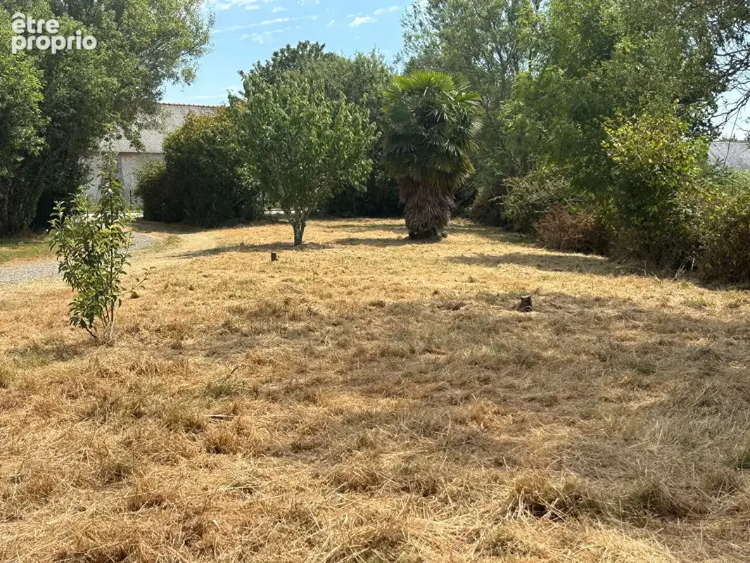 Terrain constructible 816 m2 - photo 3