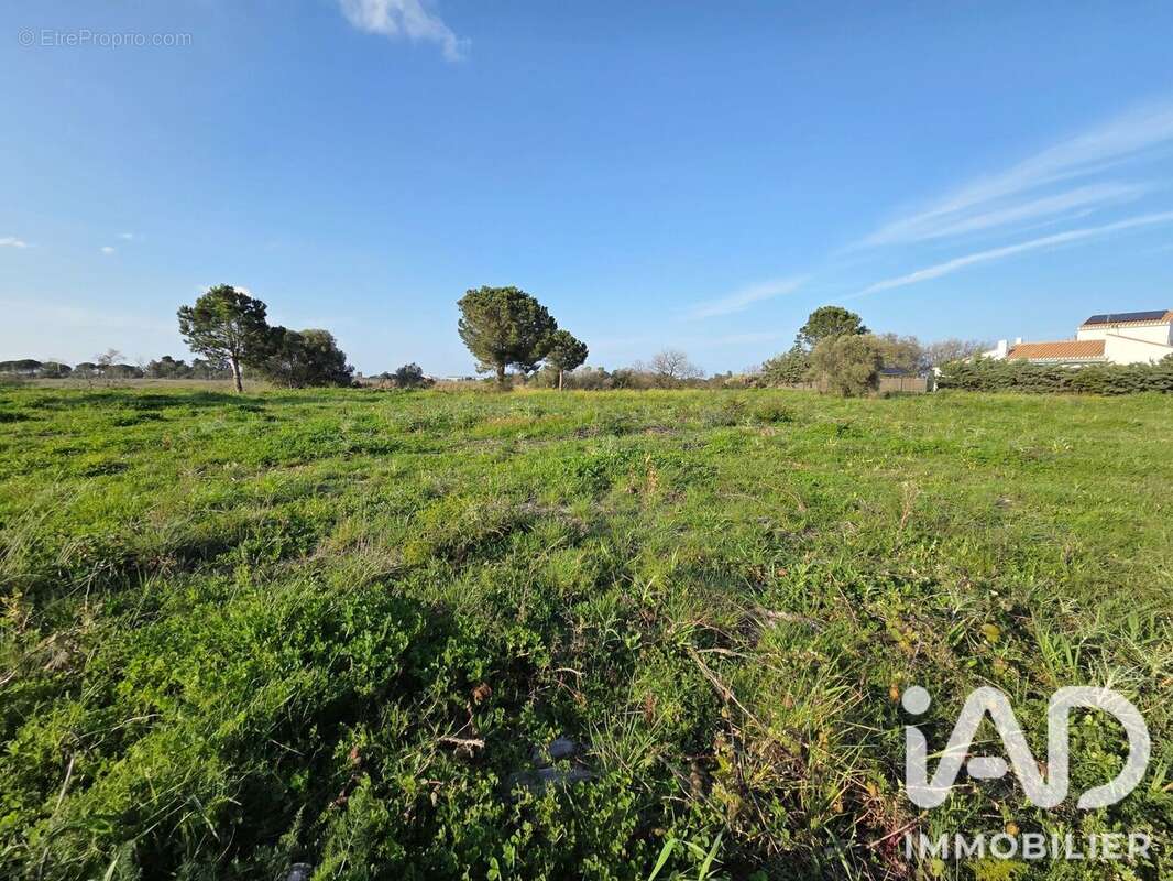 Terrain 2689 m² à Perpignan  - photo 3