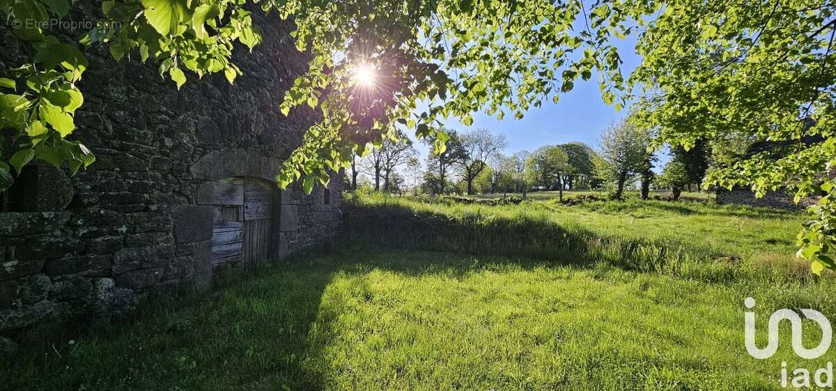 Photo 3 - Maison à ALLY