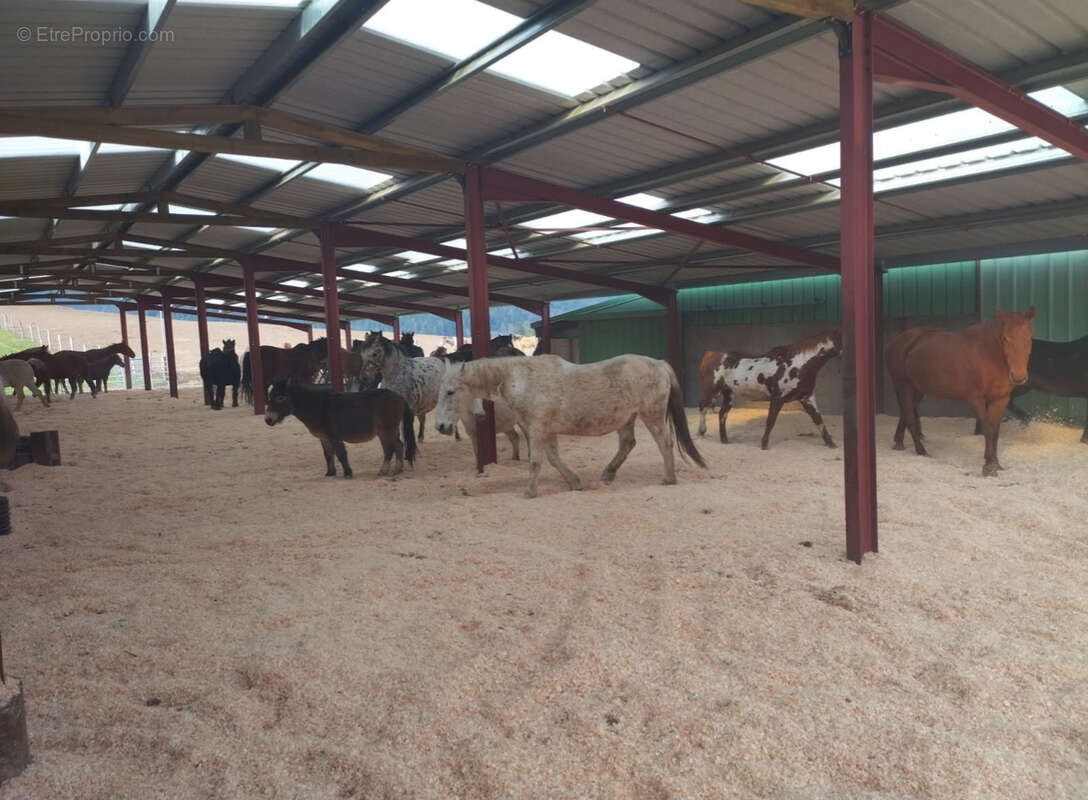 Maison à SAINT-DIE-DES-VOSGES