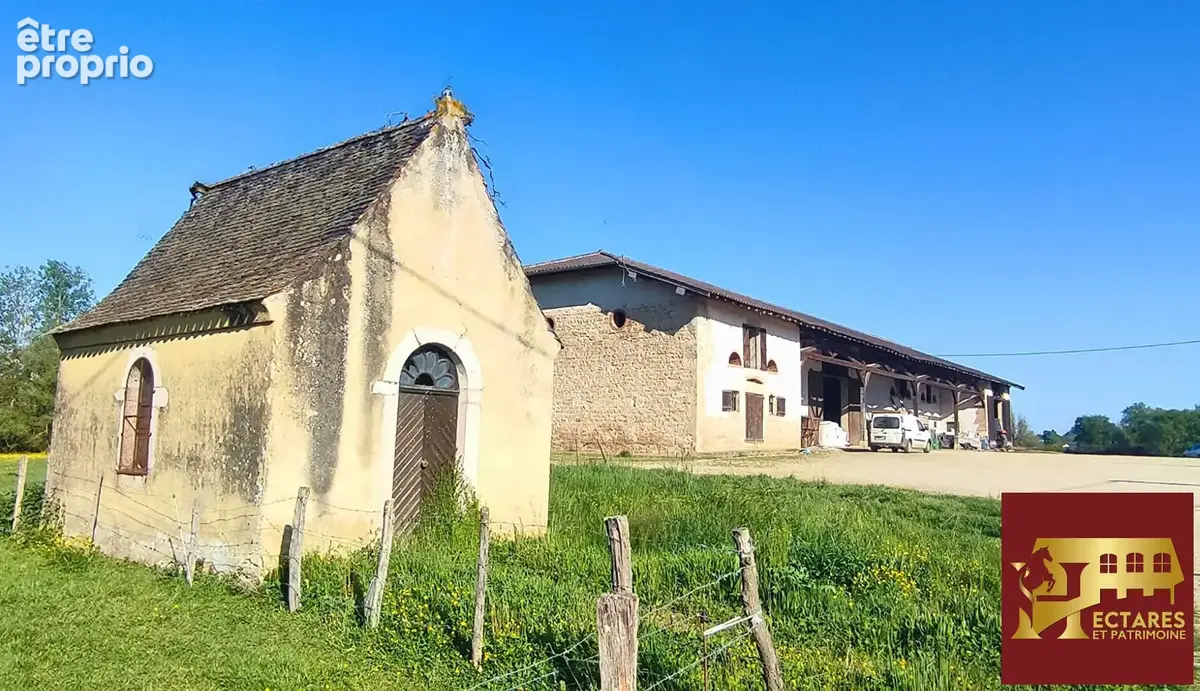 3 logements jusqu'à 16 hectares - photo 15