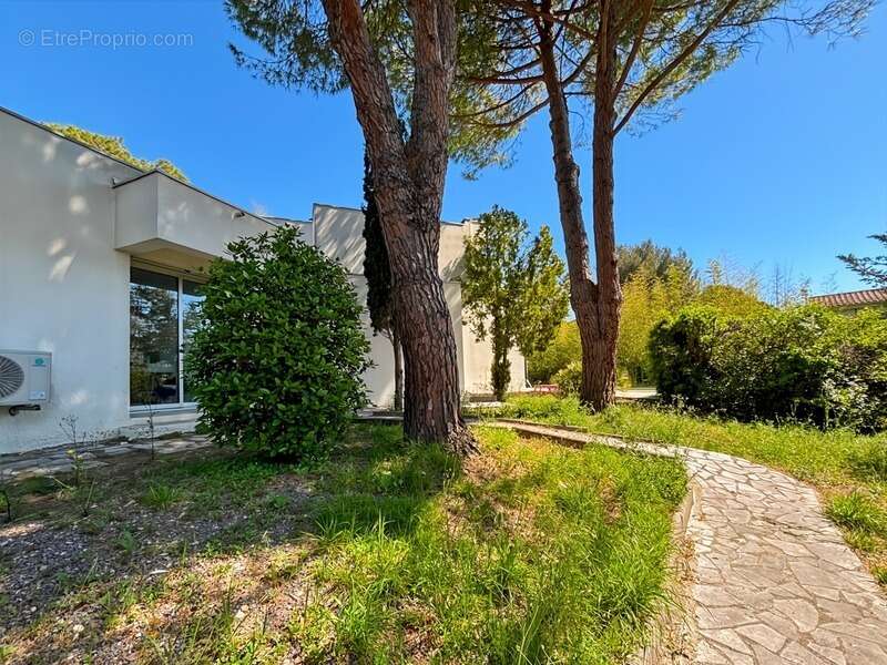 Maison à MONTPELLIER