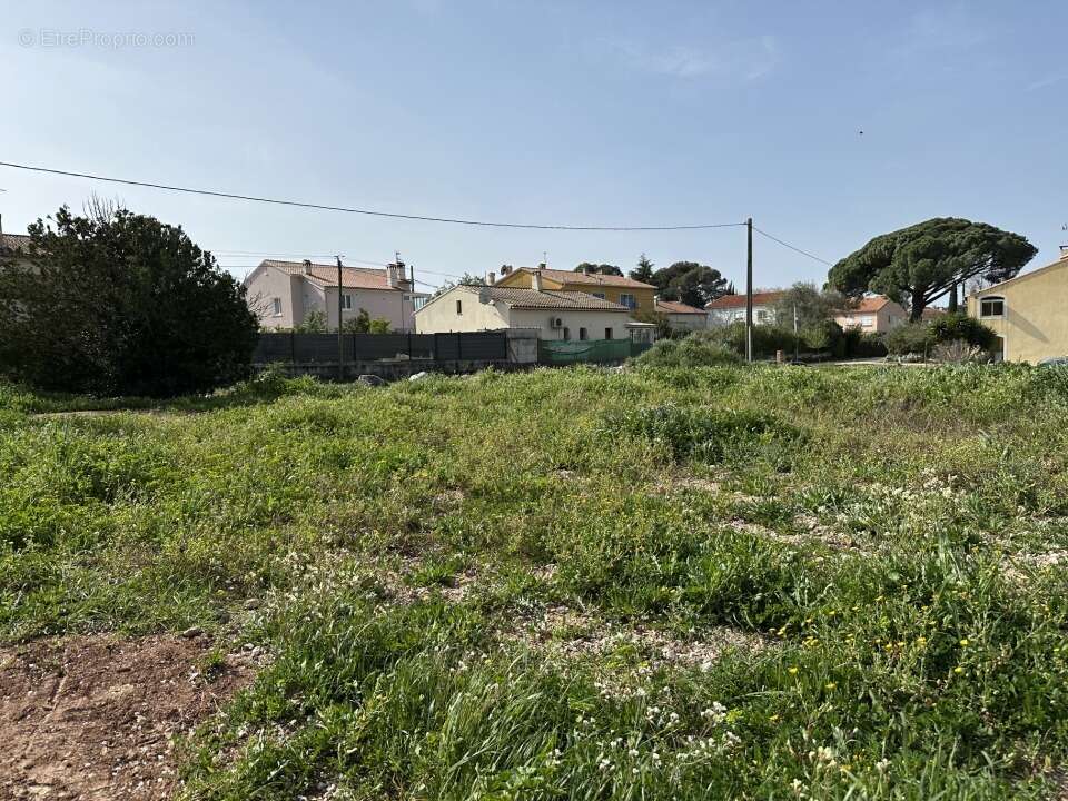 Terrain à LE PRADET