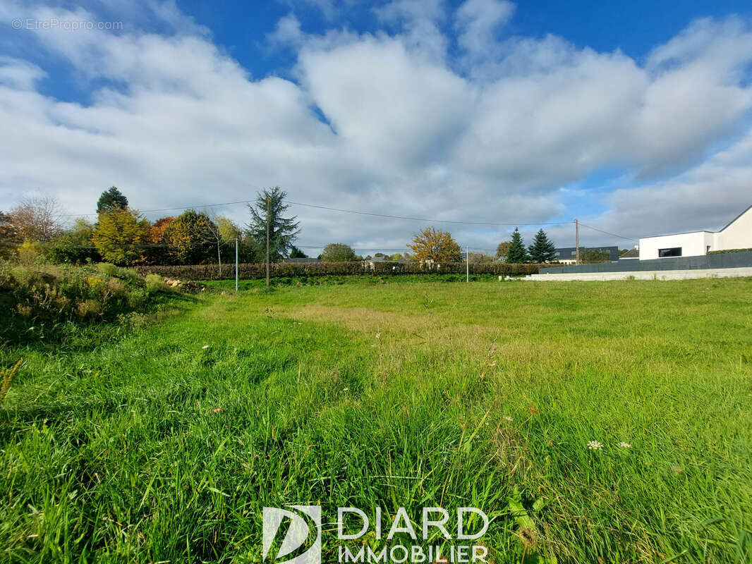 Terrain à LE PERTRE