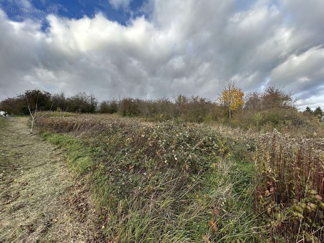 Terrain à ILLFURTH