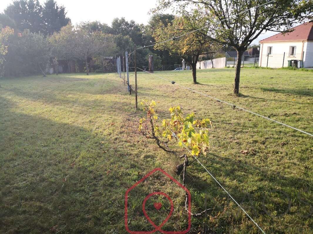 Terrain à FONTENAY-SUR-LOING
