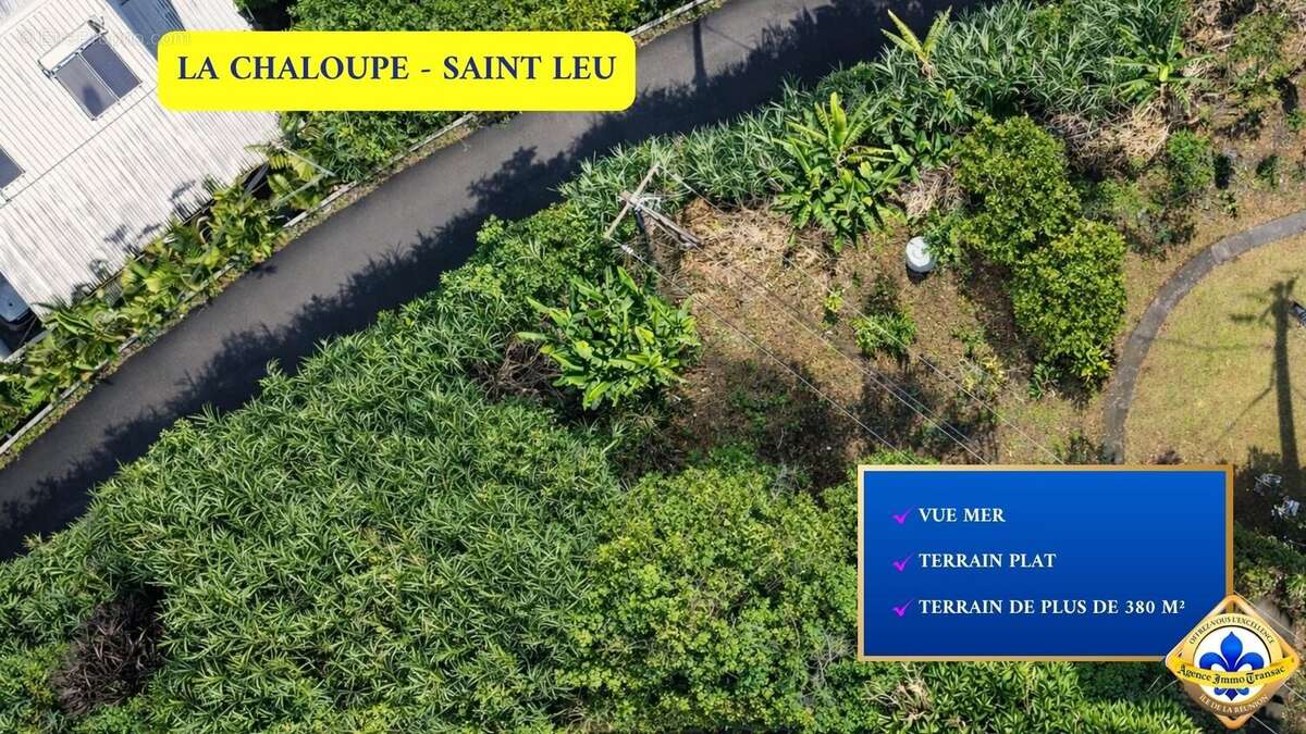 Terrain à SAINT-LEU