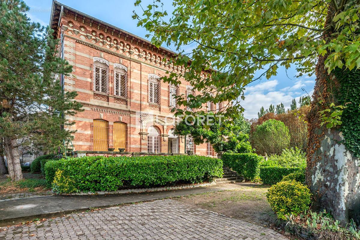 Commerce à BELLEVILLE