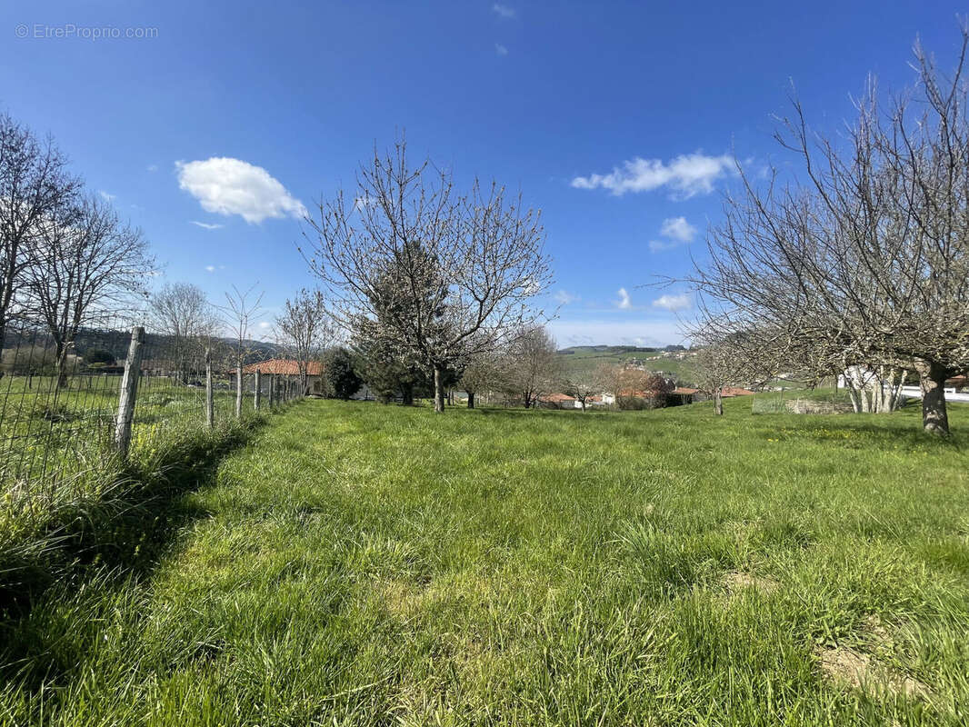 Terrain 1244 m² à Cublize  - photo 2