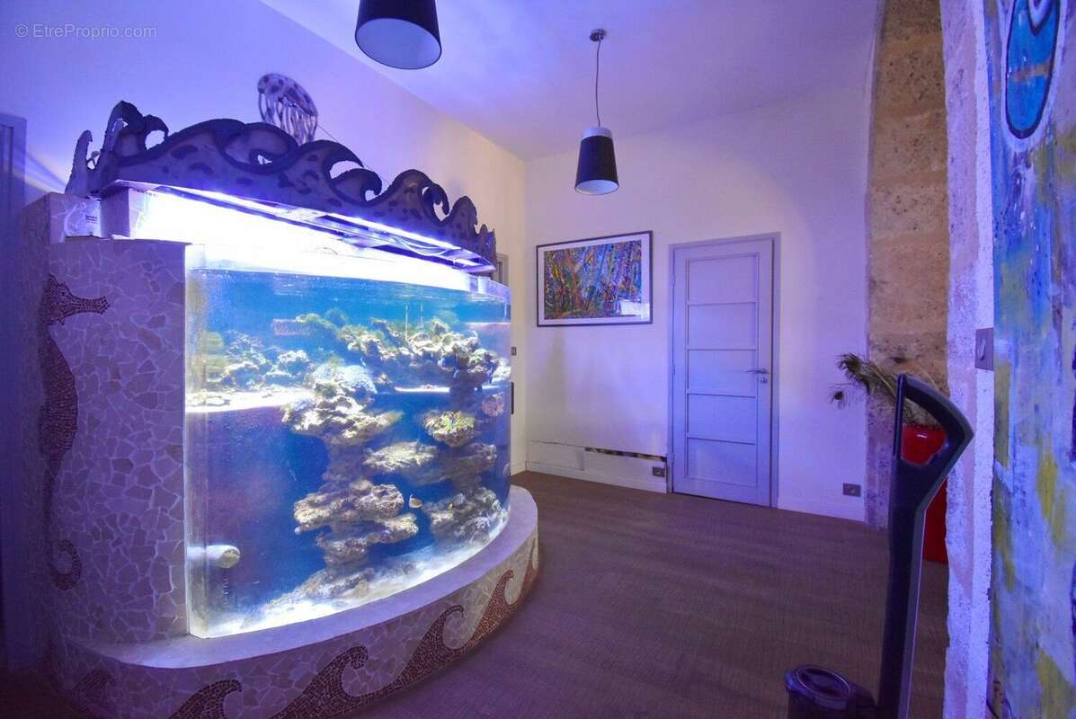 Photo 7 - Appartement à PEZENAS