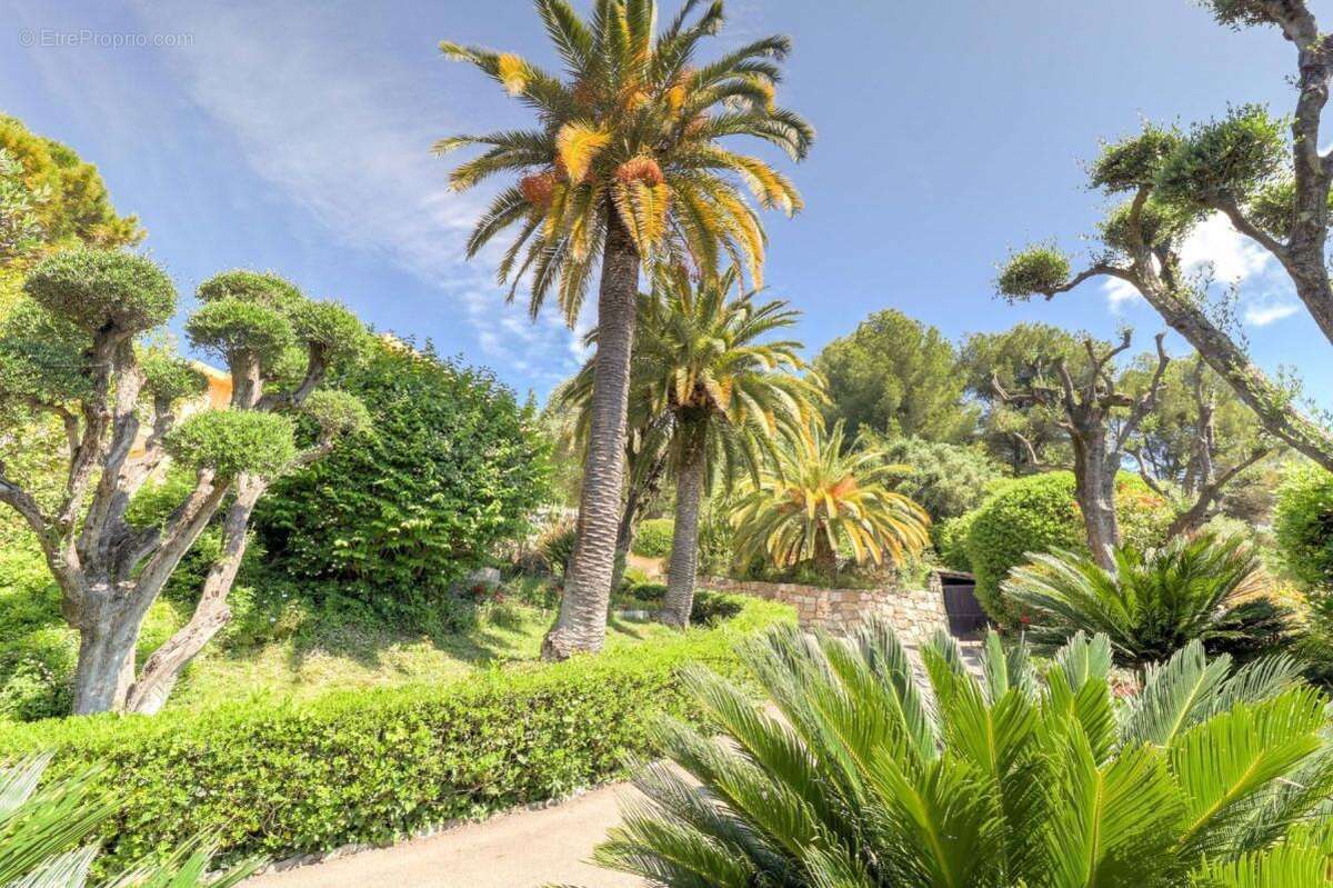 Superbe Maison de Maître avec Piscine et un Sublime Jardin Luxuriant !!! - photo 9