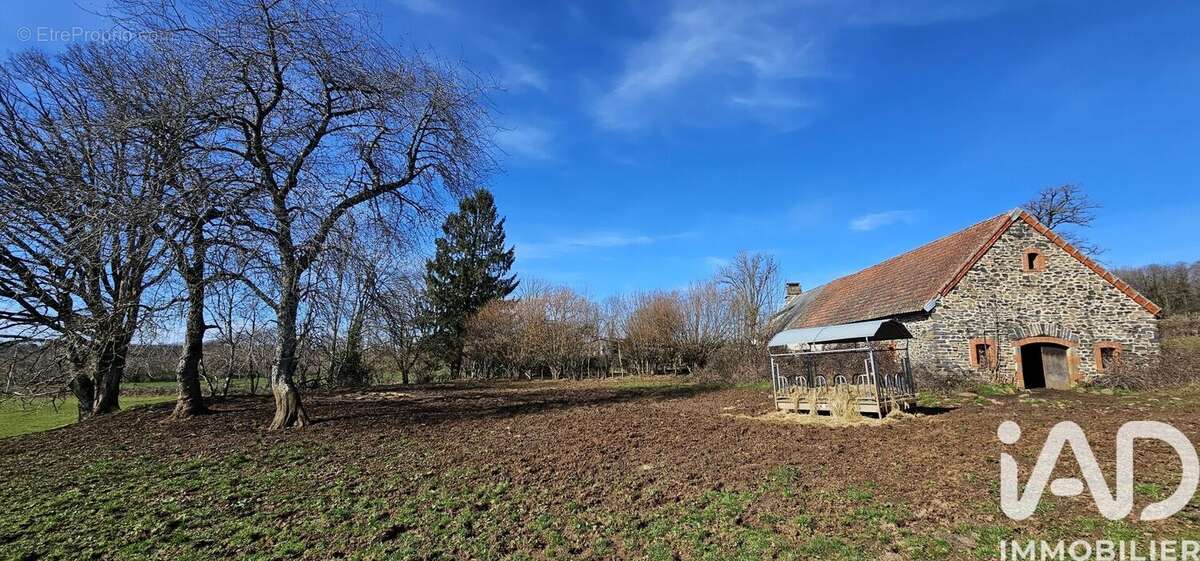 Photo 7 - Maison à ALLY