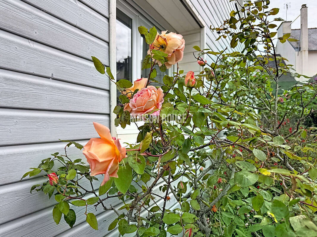 Maison à SAINT-BRIEUC