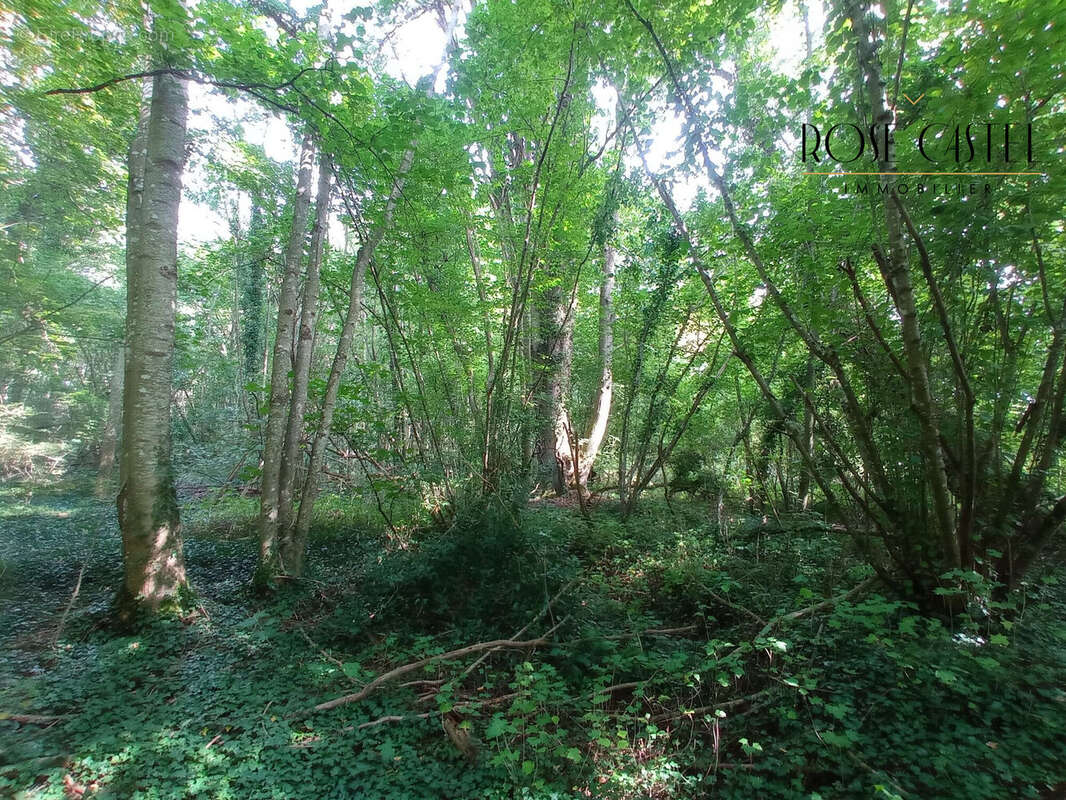 Terrain à NOGENT-LE-PHAYE