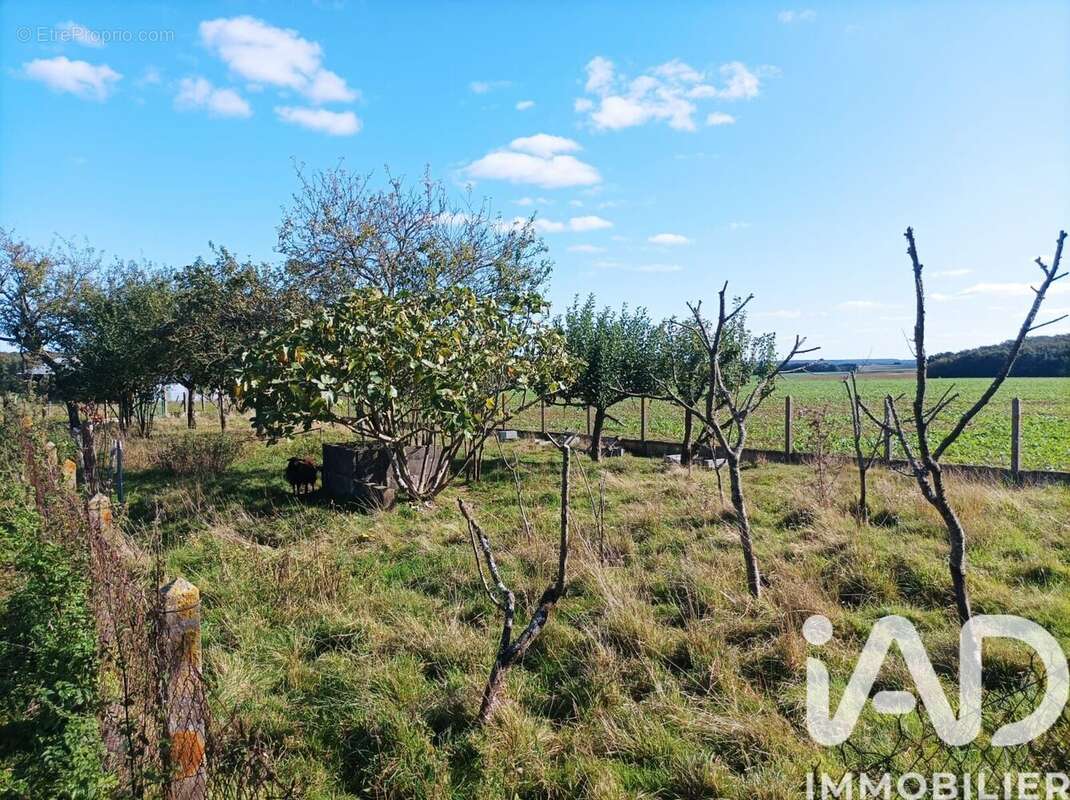 Photo 3 - Terrain à RAHART