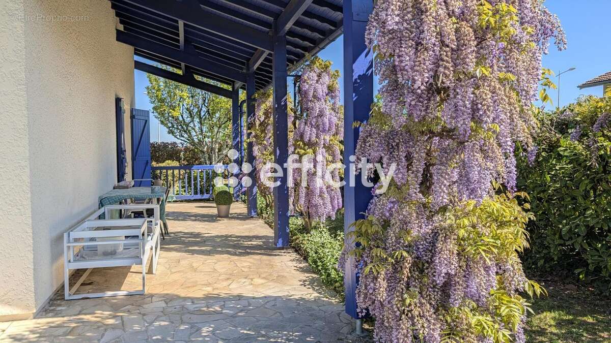 Maison à SAINT-PIERRE-DU-MONT