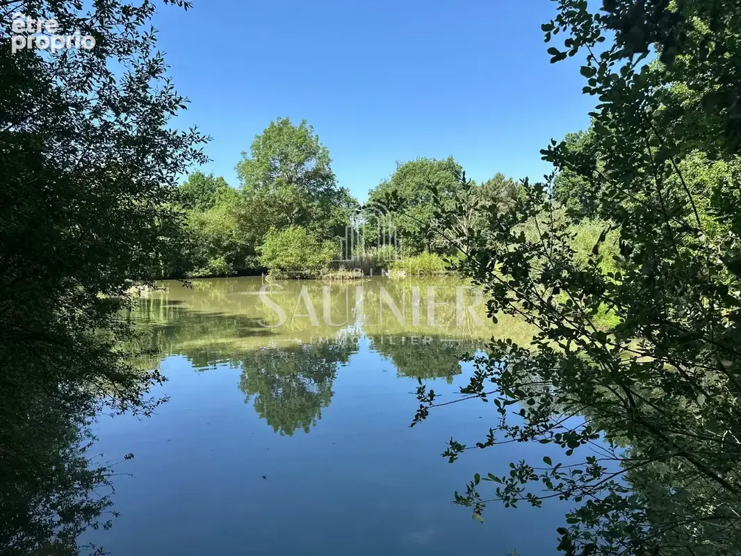 Entre Tours et Bléré, Propriété de campagne avec son étang - photo 21