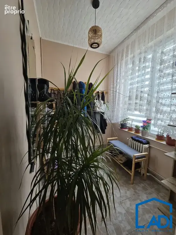 Exclusivité !! nouveauté à saint-maixent-l'école ! - photo 7