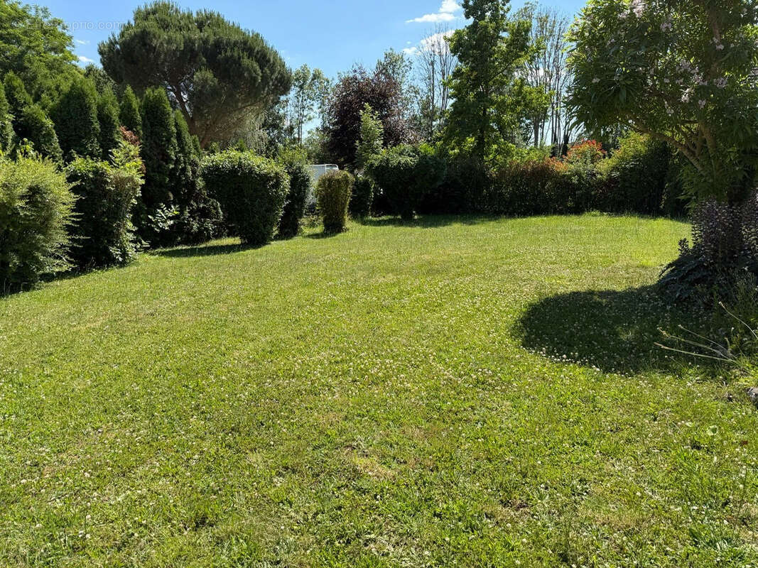 Exclusivite - coulombs - photo 5