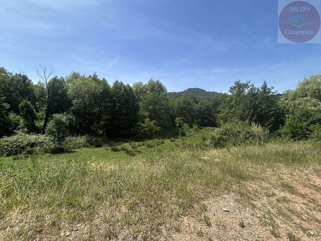 L'authenticité cévenole dans un écrin de verdure - photo 8