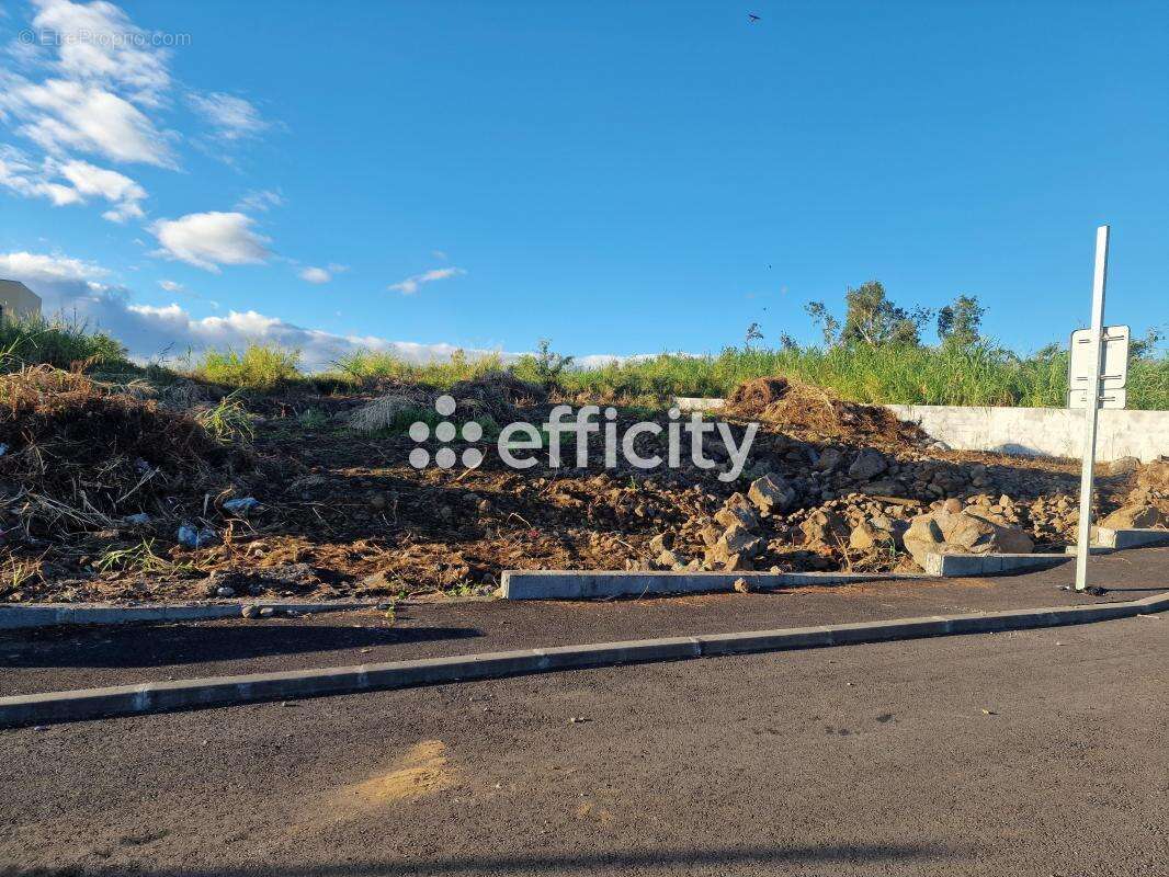 Terrain à SAINT-BENOIT