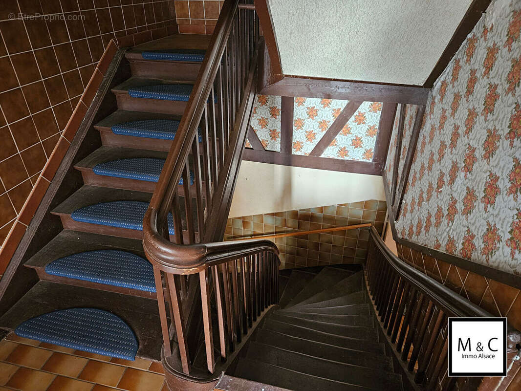 Appartement à WISSEMBOURG